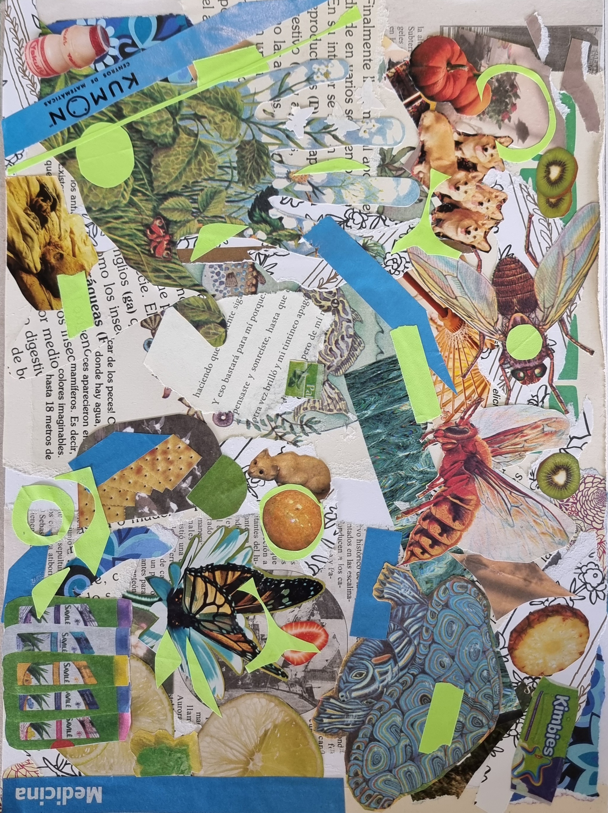 Collage 3